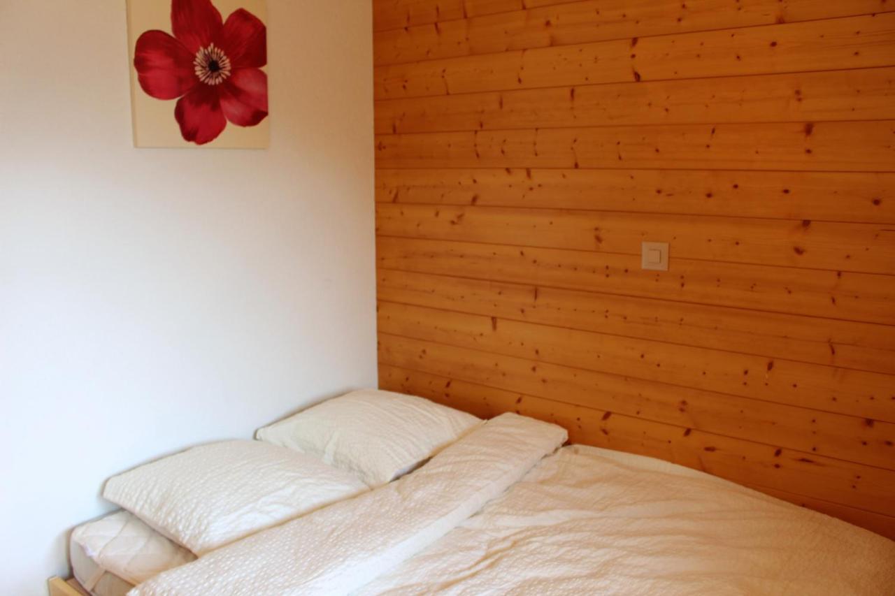 Vila Chalet Amos Grimentz Exteriér fotografie